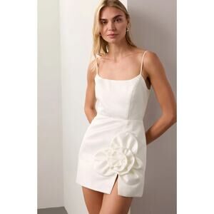 DELFI Collective Teresa Dress in White Size XS